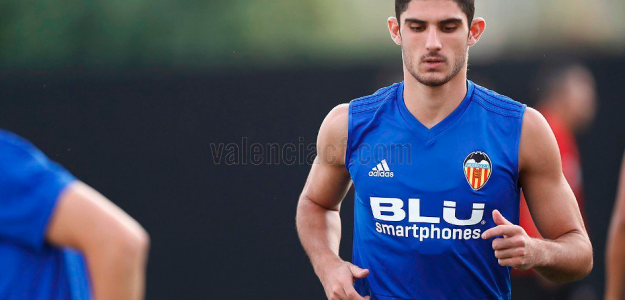 Gonçalo Guedes