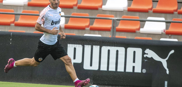 Jose Luis Gayà