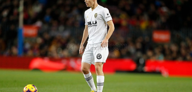 Toni Lato