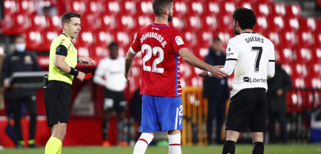 Expulsión de Guedes