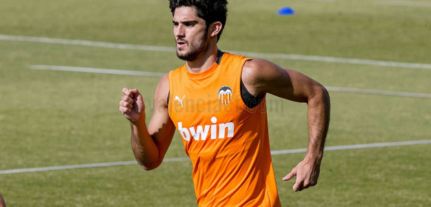 Gonçalo Guedes