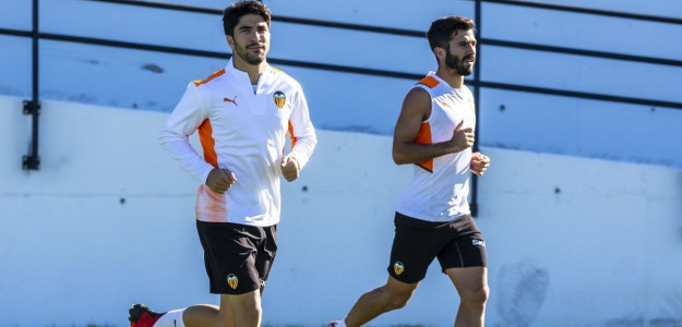 Soler y Gayà