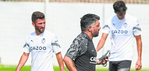 Gaya y Gattuso