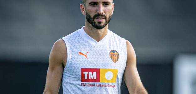 José Luis Gayà