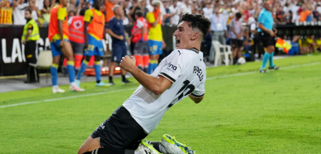 Pepelu