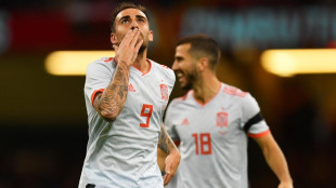 Paco Alcácer