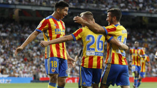 Soler, Lato y Gayà