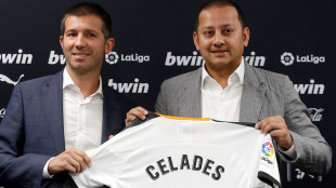 Celades y Murthy