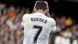 Gonçalo Guedes