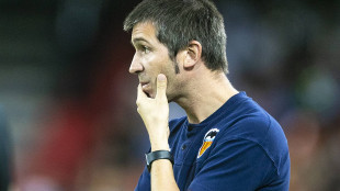 Albert Celades