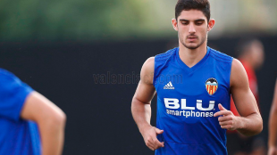 Gonçalo Guedes