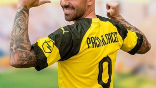 Paco Alcácer