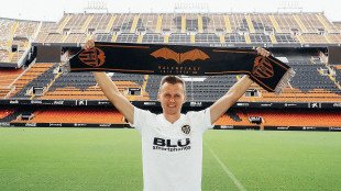 Denis Cheryshev