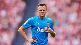 Denis Cheryshev