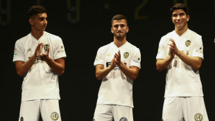 Ferran, Gaya y Soler