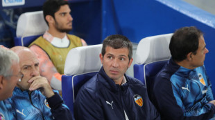 Celades y Guedes
