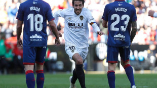 Dani Parejo