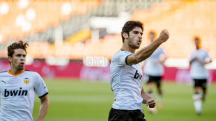 Gonçalo Guedes