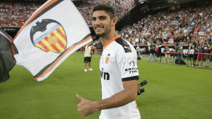 Gonçalo Guedes