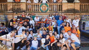 Valencianistas en Sevilla