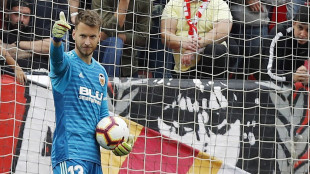 Neto