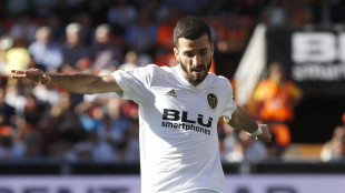 Jose Luis Gayà
