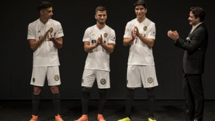 Ferran, Gaya y Soler