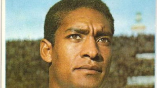Waldo Machado