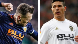 Chesyshev y Roncaglia