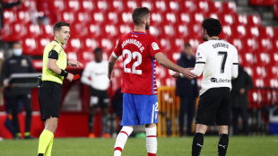 Expulsión de Guedes