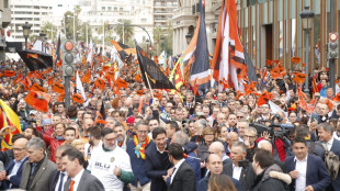 Afición del Valencia 