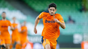 Gonçalo Guedes