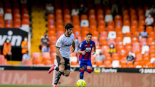 Gonçalo Guedes