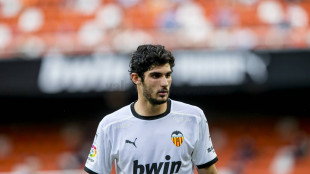 Gonçalo Guedes