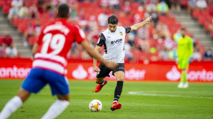 Carlos Soler