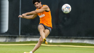 Gonçalo Guedes