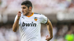 Gonçalo Guedes