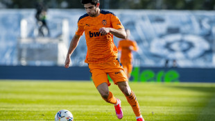 Gonçalo Guedes