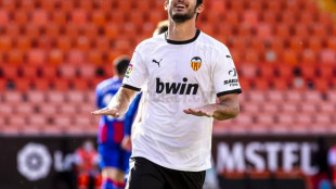 Gonçalo Guedes