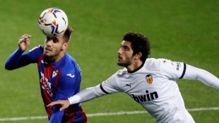 Guedes