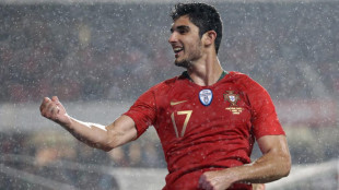 Gonçalo Guedes