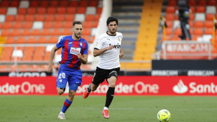 Guedes