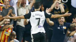 Guedes