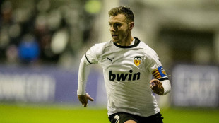 Toni Lato