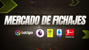 Mercado de fichajes