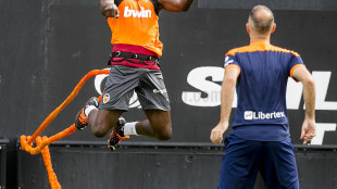 Eliaquim Mangala