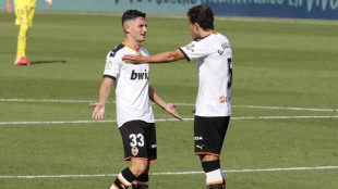 Guillamón y Paulista