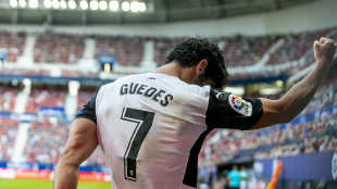 Gonçalo Guedes