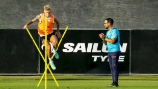 Wass y Bordalás