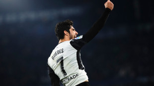 Gonçalo Guedes